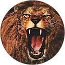 servet göz profile picture